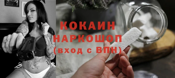 дмт Ладушкин
