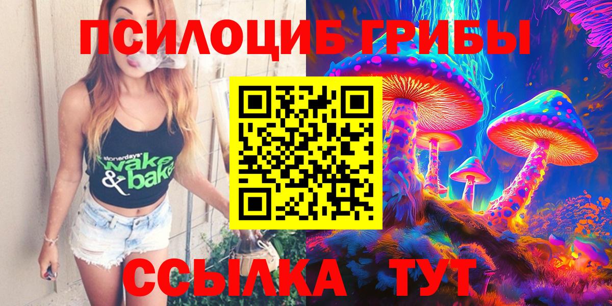 Псилоцибиновые грибы мицелий Владимир