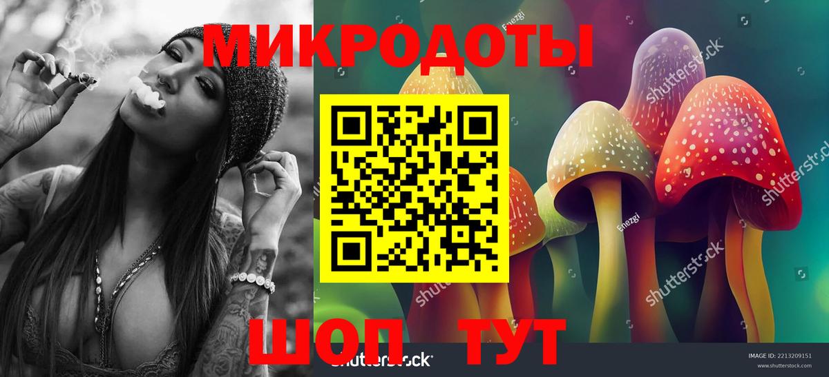 Псилоцибиновые грибы MAGIC MUSHROOMS  Псилоцибиновые грибы мицелий  Владимир  Вход с VPN 